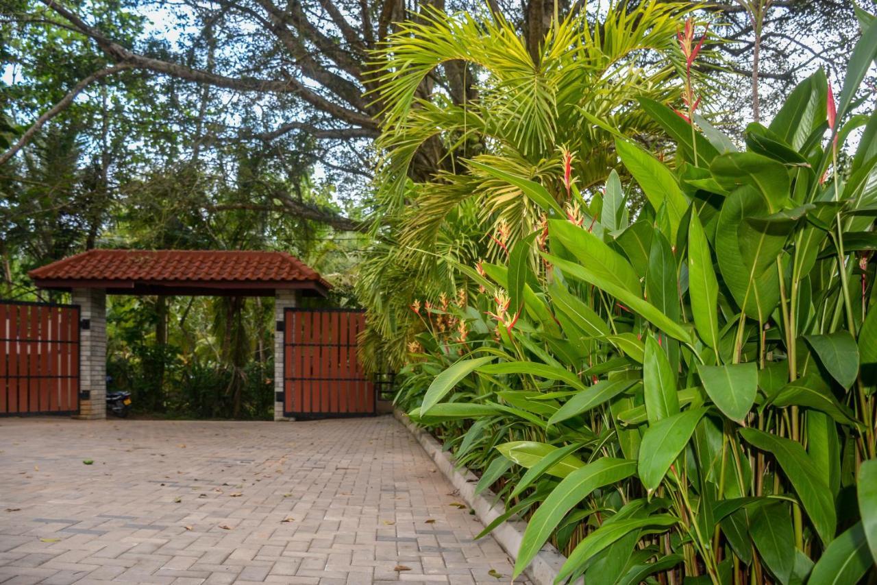 Goyambokka Guesthouse Tangalle Exterior photo