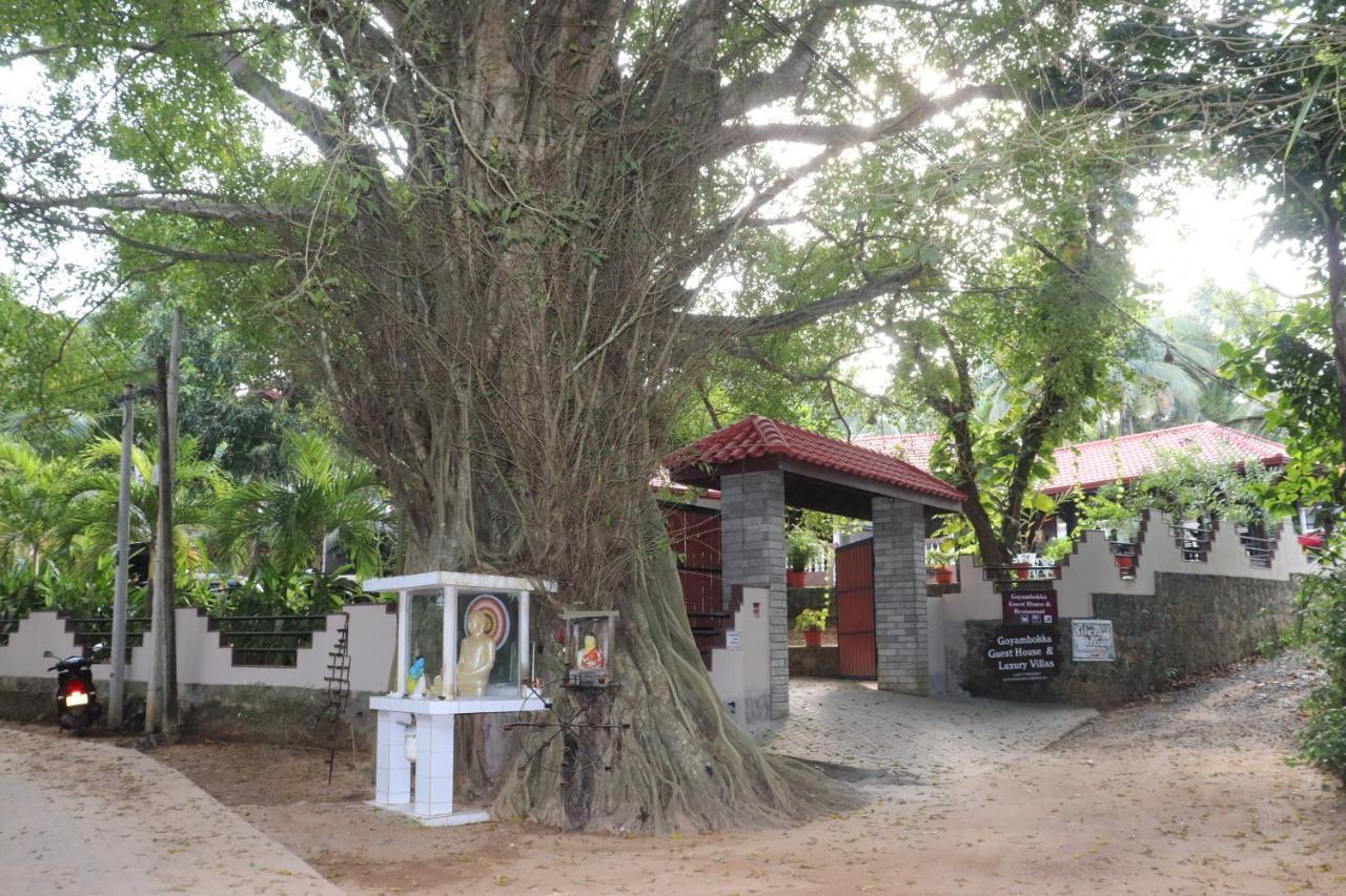 Goyambokka Guesthouse Tangalle Exterior photo